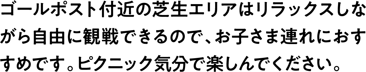 
                            ゴールポスト付近の芝生エリアはリラックスしながら自由に観戦できるので、お子さま連れにおすすめです。ピクニック気分で楽しんでください。