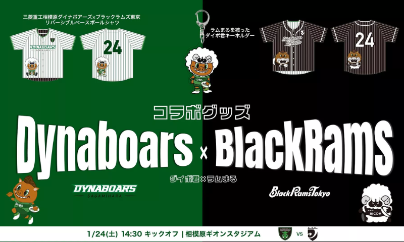 三菱重工相模原ダイナボアーズ×ブラックラムズ東京 コラボ企画