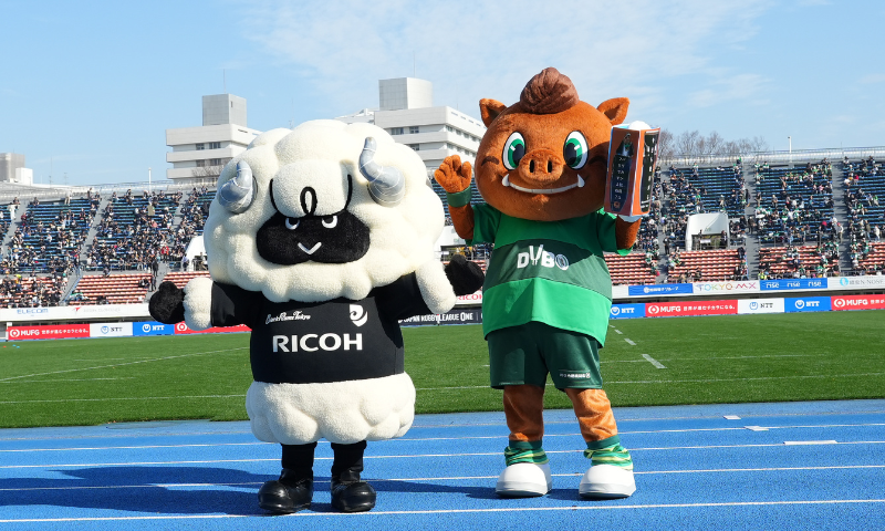 ブラックラムズ東京公式マスコット「ラムまる」来場！